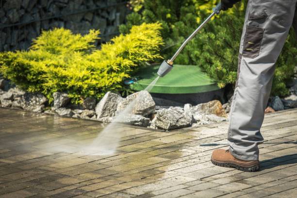 Best House Exterior Washing  in Plandome, NY
