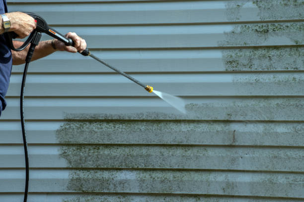 Best Fence Cleaning  in Plandome, NY
